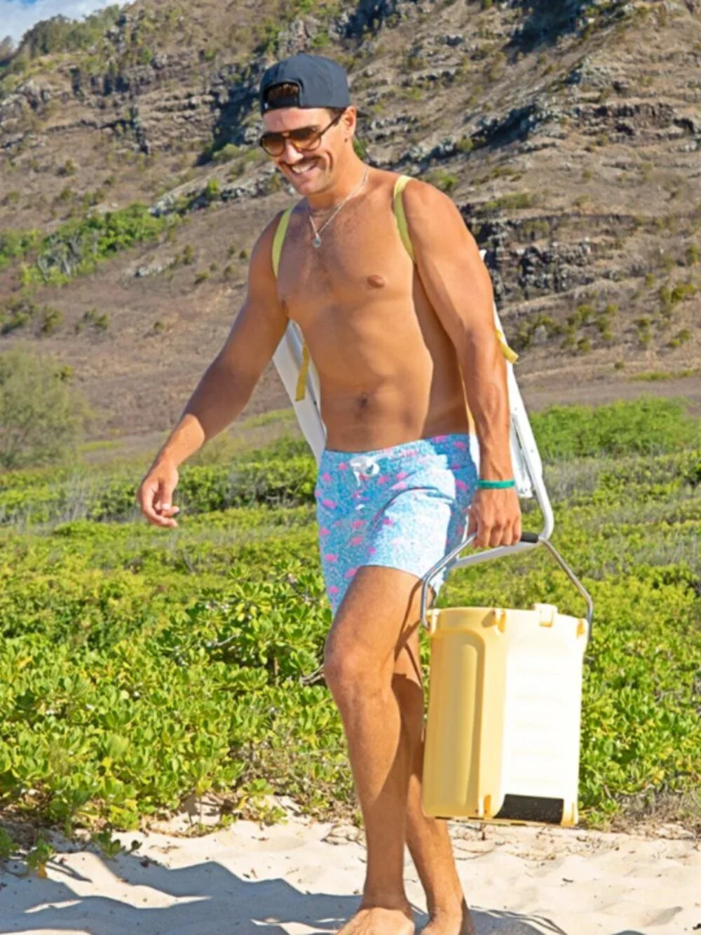 chubbies The Domingos Are For Flamingos Swim Shorts Size M